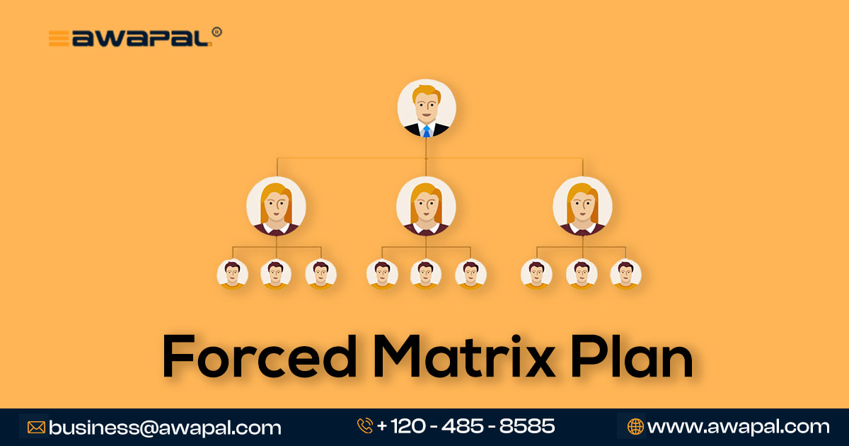 Forced Matrix MLM Software